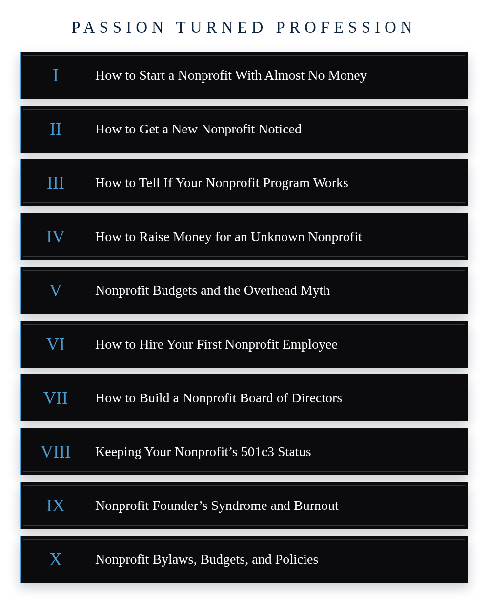 The ten volumes of Passion Turned Profession, stacked: Volume I, How to Start a Nonprofit With Almost No Money, through Volume X, Nonprofit Bylaws, Budgets, and Policies